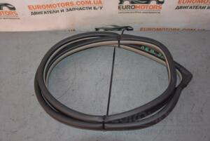 Уплотнитель двери задний левый Hyundai Sonata (V) 2004-2009 62449