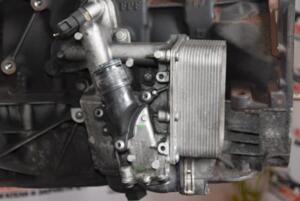 Теплообменник (Радиатор масляный) Renault Trafic 2.0dCi 2001-2014 6790972560 65152
