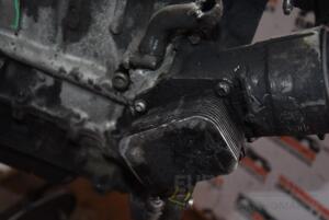 Теплообмінник (Радіатор масляний) Ford Focus 1.6tdci (II) 2004-2011 66676
