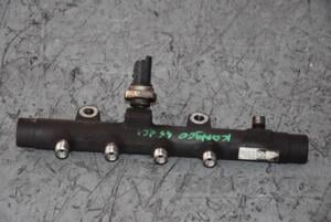 Топливная рейка (без датчика) Renault Kangoo 1.5dCi 2008-2013 5WS40154 81934