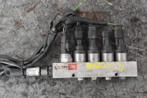 Паливна рейка газ у зборі (без датчика) Chevrolet Aveo 1.2 8V 2003-2008 67R010185 96021