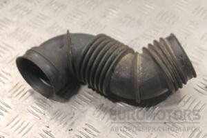 Патрубок воздушного фильтра Citroen Jumpy 2.0jtd 8V 1995-2007 1487102080 134289