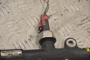 Датчик тиску палива в рейці Ford Focus 2.0tdci (II) 2004-2011 5WS40039 205447
