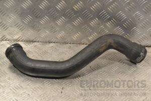 Патрубок воздушного фильтра Renault Kangoo 1.5dCi 1998-2008 8200252995 193073