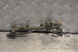 Паливна рейка бензин (без датчика) Honda Civic 1.6 16V 2001-2006 209125