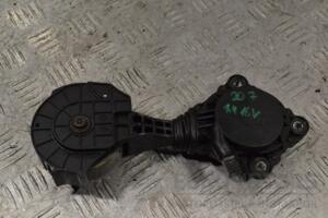 Натяжитель приводного ременя Peugeot 207 1.4 16V 2006-2013 V75488488007 195371