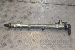 Паливна рейка (без датчика) Mercedes E-class 2.2cdi (W211) 2002-2009 A6110700395 225219