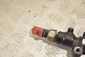 Датчик тиску палива в рейці Peugeot 206 1.4hdi 1998-2012 9658227880 214403