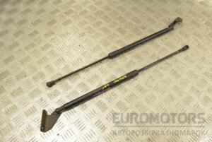 Амортизатор кришки багажника Nissan Qashqai 2007-2014 90450JD01B 269146