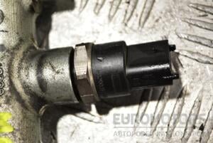 Датчик давления топлива в рейке Renault Megane 1.9dCi (II) 2003-2009 0281002719 296536