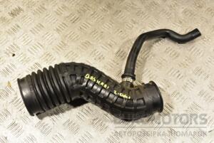 Патрубок повітряного фільтра Nissan Qashqai 2.0dCi 2007-2014 1022314S01 302843