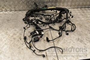 Проводка двигуна Mercedes C-class 2.2cdi (W204) 2007-2015 A6510106407 312213