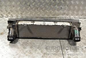 Радиатор интеркулера BMW 3 (F30/F31) 2012-2019 17517600532 313690