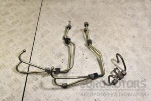 Трубки ТНВД комплект 5шт Ford Focus 1.6tdci (II) 2004-2011 336648