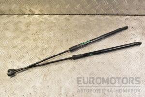Амортизатор крышки багажника Skoda Octavia (A7) 2013-2020 5E9827550A 348244