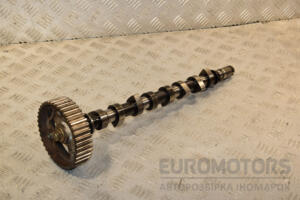 Распредвал Renault Megane 1.5dCi (II) 2003-2009 438144