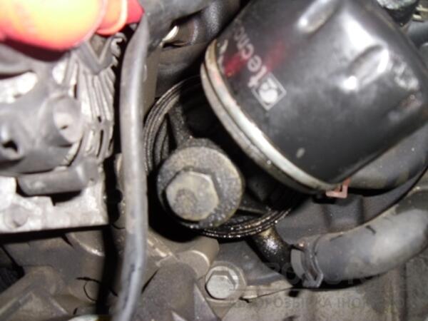 Теплообменник (Радиатор масляный) -03 Renault Kangoo 1.5dCi 1998-2008 8200068115A 13263 - 2