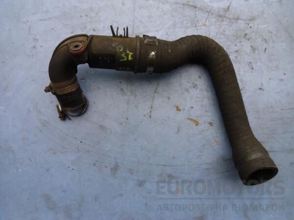 Патрубок интеркуллера от турбины к радиатору Renault Kangoo 1.5dCi 1998-2008 8200164191 10710 - 5