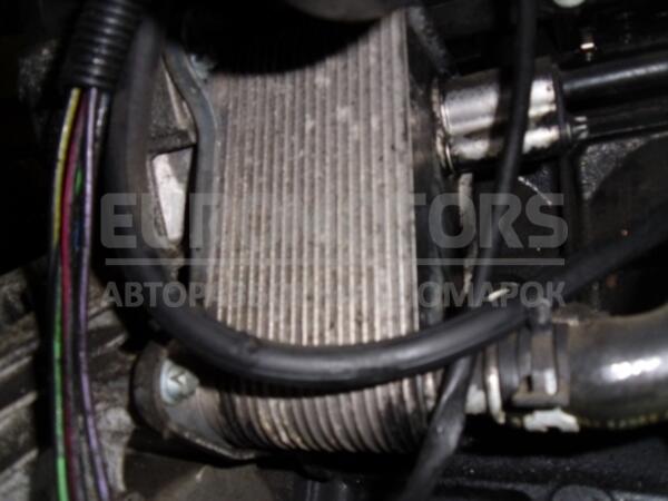 Теплообменник (Радиатор масляный) Mercedes E-class 2.7cdi (W210) 1995-2002 A6121880301 9980 euromotors.com.ua