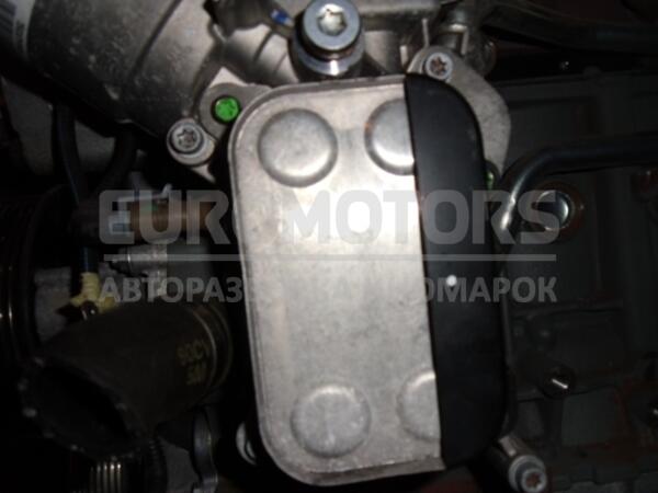 Теплообмінник (Радіатор масляний) Fiat Grande Punto 1.3MJet 2005 55193743 BF-64  euromotors.com.ua