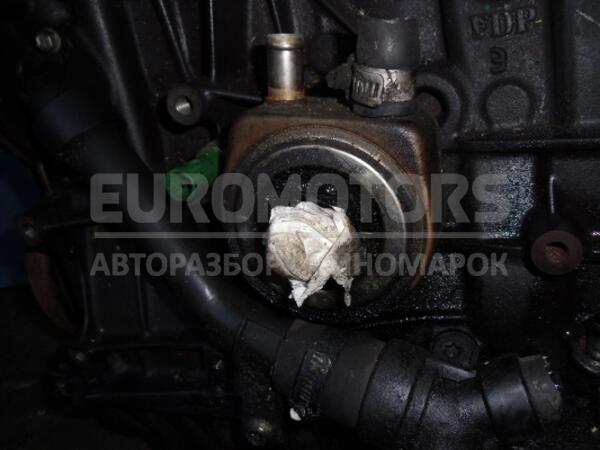 Теплообменник (Радиатор масляный) Opel Vivaro 1.9dCi 2001-2014 31623 euromotors.com.ua