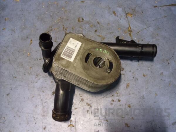 Теплообменник (Радиатор масляный) Renault Kangoo 1.5dCi 1998-2008 779744C 47315-01 - 2
