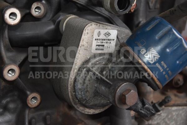 Теплообмінник (Радіатор масляний) 05- Renault Kangoo 1.5dCi 1998-2008 8200267937f 54628  euromotors.com.ua