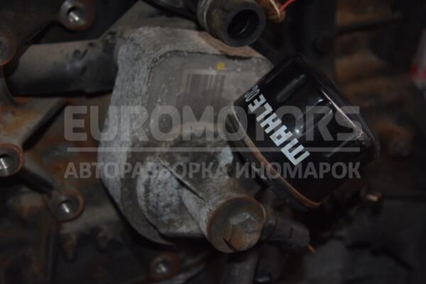 Теплообмінник (Радіатор масляний) 05- Renault Kangoo 1.5dCi 1998-2008 55340 euromotors.com.ua