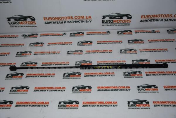 Капот амортизатора Opel Vectra (C) 2002-2008 2445447 56196  euromotors.com.ua
