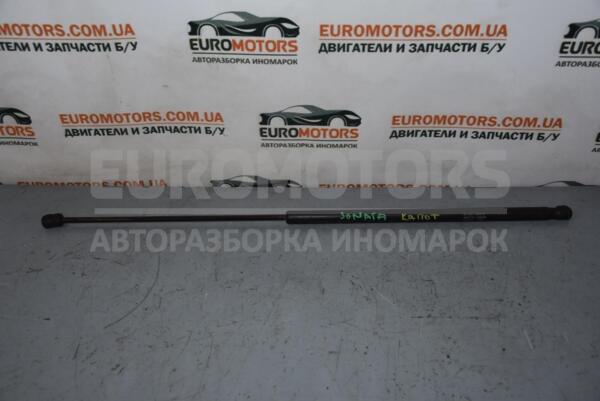 Капот амортизатора Hyundai Sonata (V) 2004-2009 811613K000 59051  euromotors.com.ua