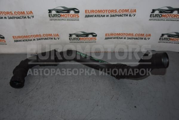 Патрубок интеркулера Renault Clio 1.5dci (III) 2005-2012 8200794201 61987  euromotors.com.ua