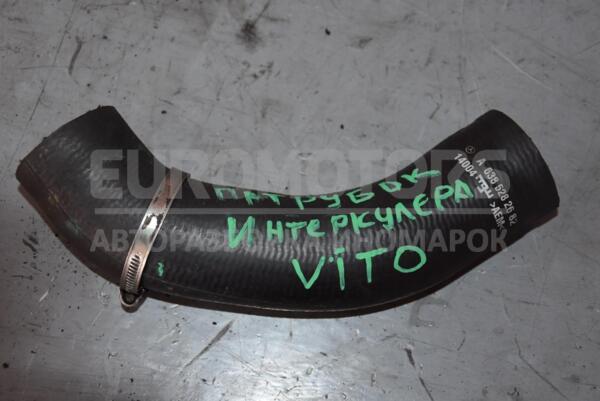 Патрубок интеркулера Mercedes Vito 2.2cdi (W639) 2003-2014 A6385282682 65528 euromotors.com.ua