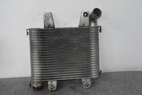 Радиатор интеркуллера Kia Carnival 2.9crdi 1999-2006 OK55313550 78442 - 2