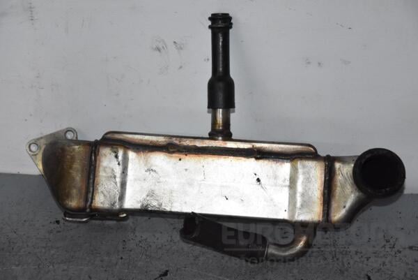 Охладитель ОГ (Радиатор EGR) Mercedes S-class 3.2cdi (W220) 1998-2005 A6131420079 81587 - 2