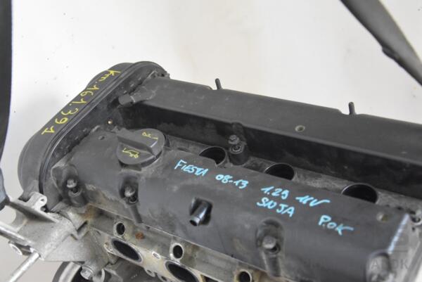 Двигун Ford Fiesta 1.25 16V 2008 SNJA 91080 - 5