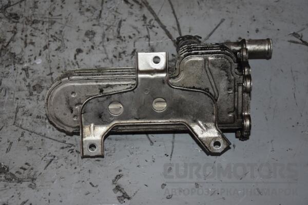 Охладитель ОГ (Радиатор системы EGR) VW Touran 1.9tdi 2003-2010 038131513AD 101181 - 2