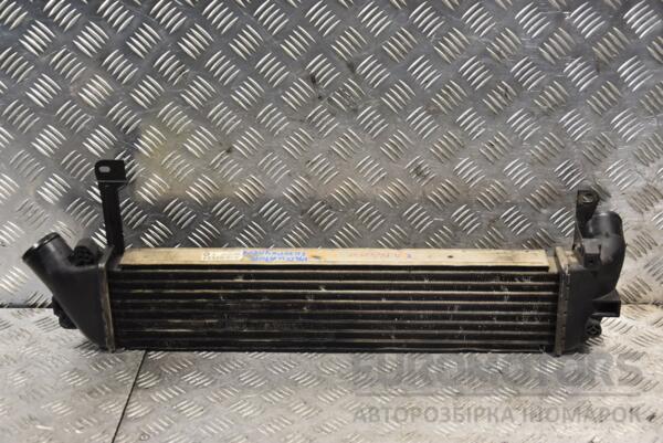 Радіатор інтеркулера Renault Kangoo 1.5dCi 1998-2008 8200322941b 166181 - 2