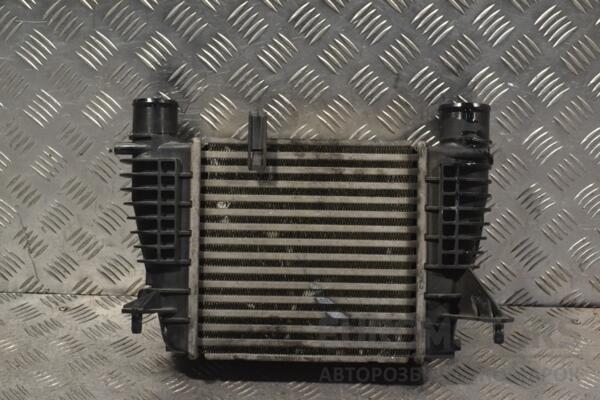 Радіатор інтеркулера Renault Clio 1.5dCi (III) 2005-2012 8200471888 192989 - 2