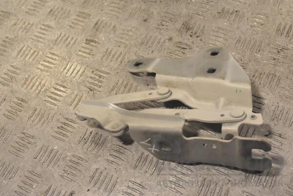 Петля капота ліва BMW X1 (E84) 2009-2015 2990359 250387 - 2