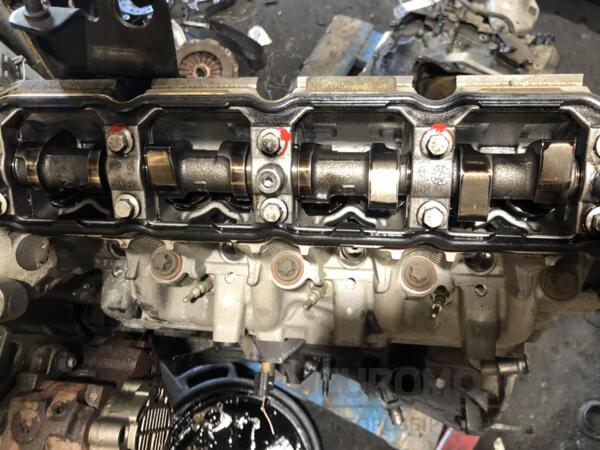 Двигун Renault Trafic 1.9dCi 2001-2014 F9Q 759 BF-530 - 4