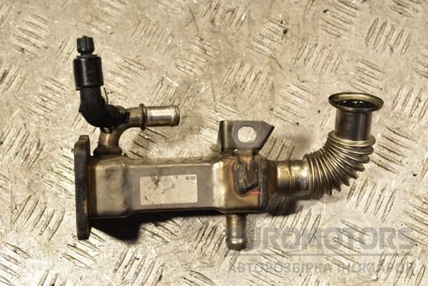 Охладитель ОГ (Радиатор EGR) Renault Megane 1.9dCi (II) 2003-2009 8200171191 294650 - 2