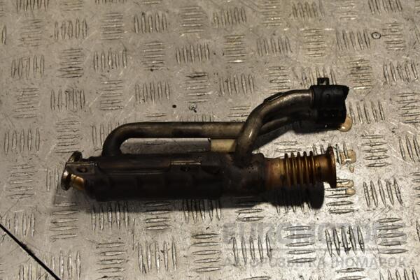 Охладитель ОГ (Радиатор EGR) Renault Megane 1.9dCi (II) 2003-2009 8200426934 302940 - 2