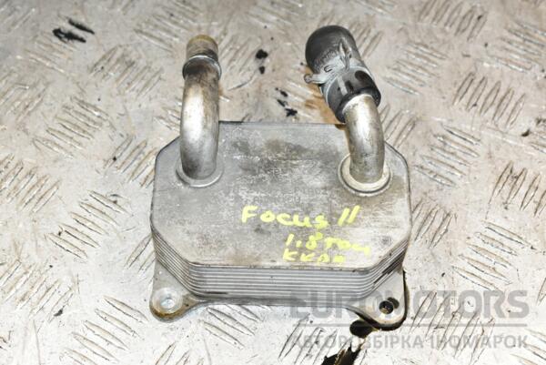 Теплообмінник (Радіатор масляний) Ford Focus 1.8tdci (II) 2004-2011 359554 euromotors.com.ua