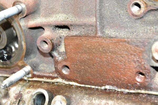 Двигун Ford Kuga 2.0tdci 2008-2012 TXDA 365472 - 6