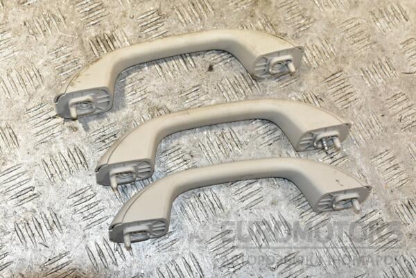 Ручка потолочная комплект 3шт Renault Duster 2010 367861 euromotors.com.ua