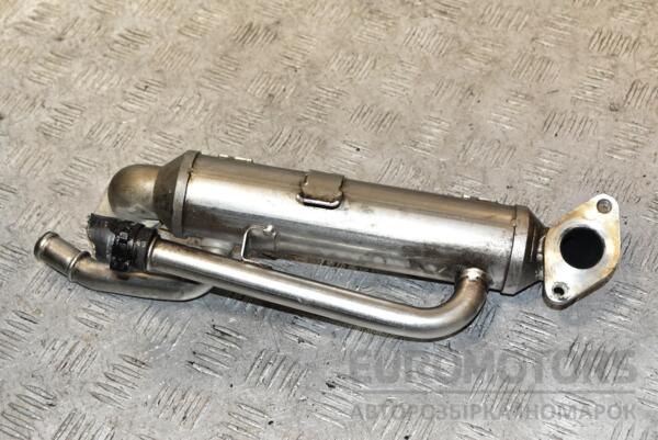 Охолоджувач ОГ (Радіатор EGR) VW Passat 1.9tdi (B5) 1996-2005 038131513H 372088 - 2