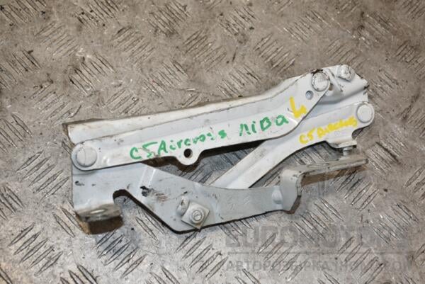 Петля капота ліва Citroen C5 Aircross 2017 9814189880 390122 euromotors.com.ua