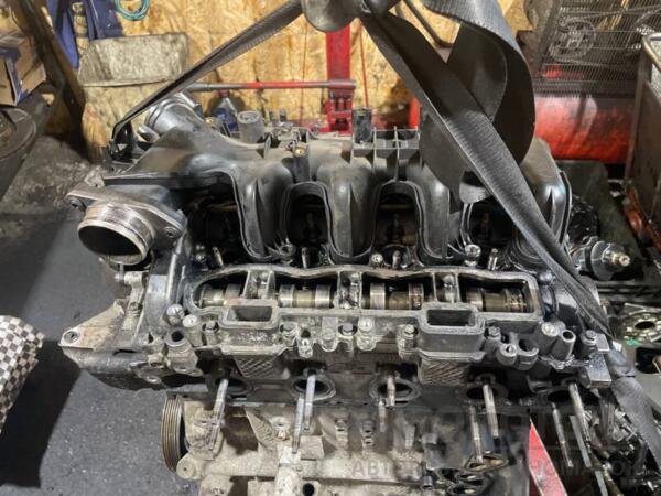 Двигатель Citroen Berlingo 1.6hdi 2008 9H03 BF-664 - 3