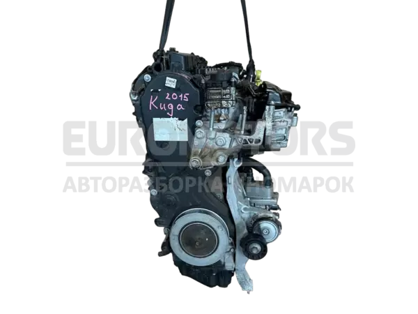 Двигун Ford Kuga 2.0L Duratorq-TDCi 2012-2019 T8MA it-13269 Дизель euromotors.com.ua