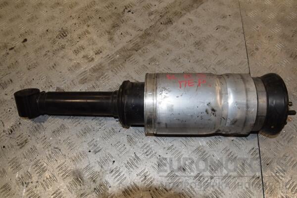 Амортизатор передній пневматичний Land Rover Range Rover Sport 2005-2012 22227491 400618 euromotors.com.ua
